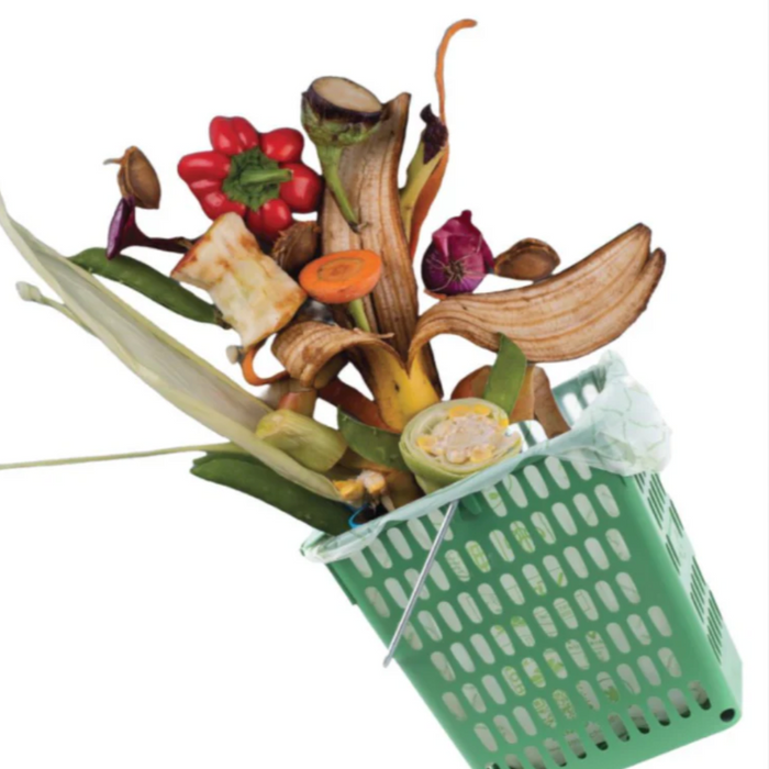 Fonctionnement et Avantages des Bacs Aérés